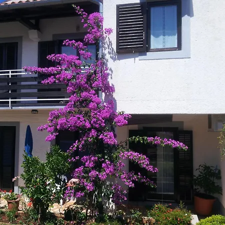Barac Apartment